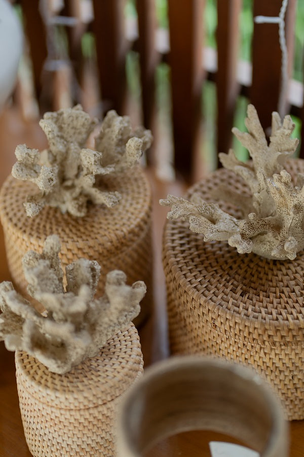 Caixa Rattan Coral Palha P