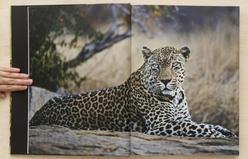Livro Expedição Savana Africana