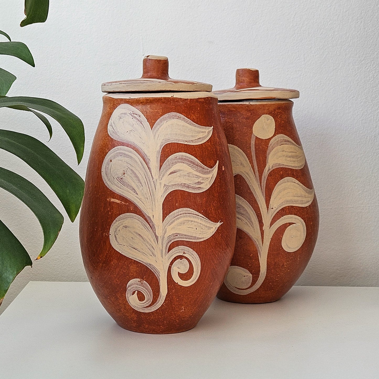 Vaso Botânico em Cerâmica Terracota