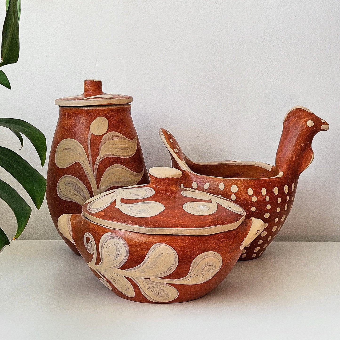Vaso Botânico em Cerâmica Terracota