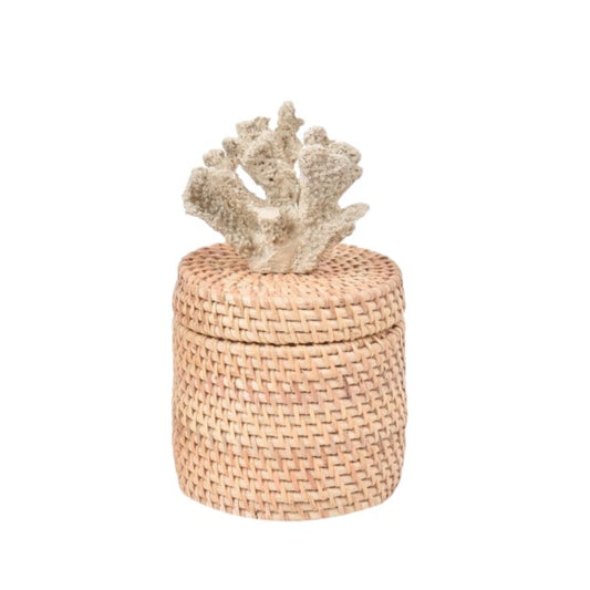 Caixa Rattan Coral Palha M